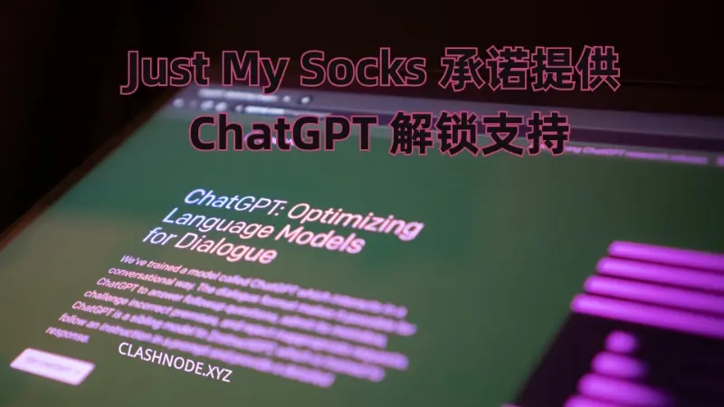 Just My Socks 替代机场有哪一些？除了Just My Socks 还有哪些好用的翻