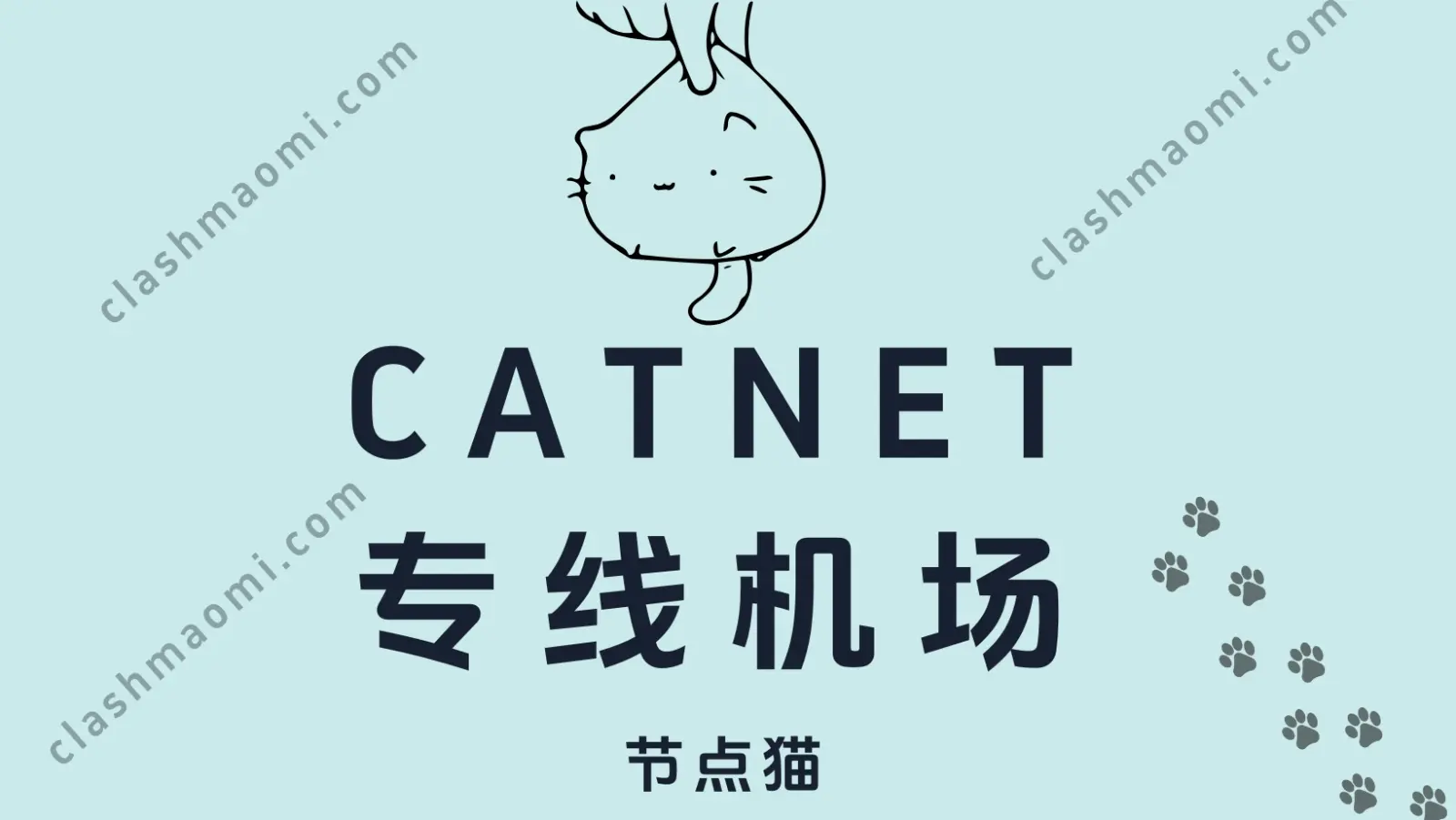 CATNET 机场评测报告-节点猫