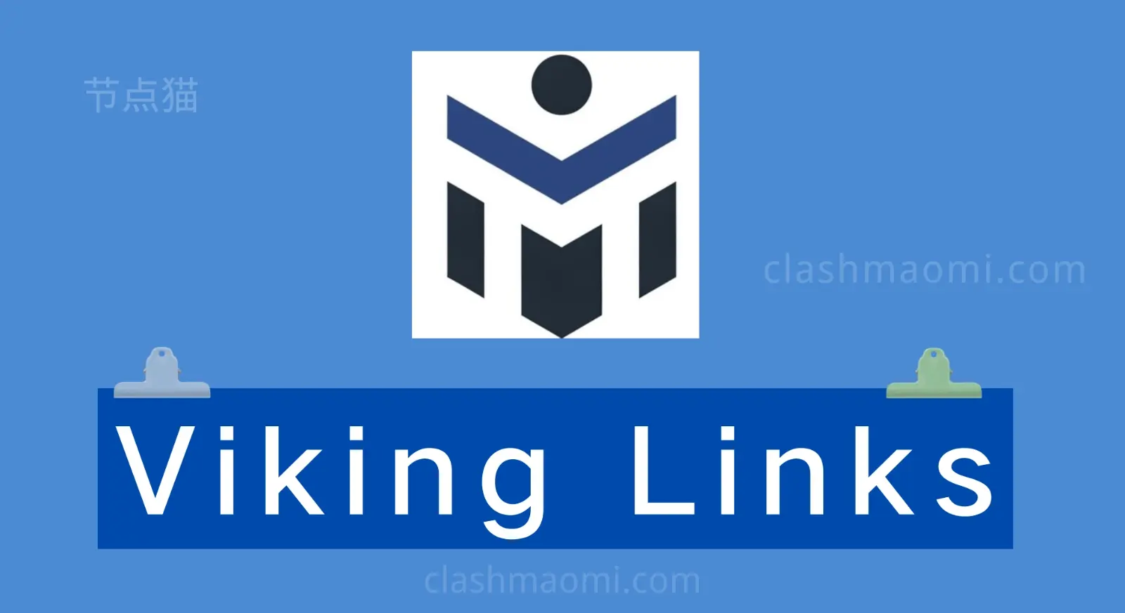 Viking Links 评测报告-节点猫