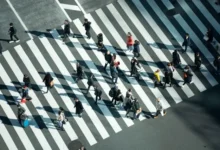 中转节点阵亡倒计时:2026 跨境网络大洗牌,外贸人如何守住“生命线”?-节点猫